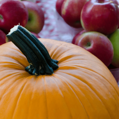 Closeup of the top of a pumpkin with red apples in the background